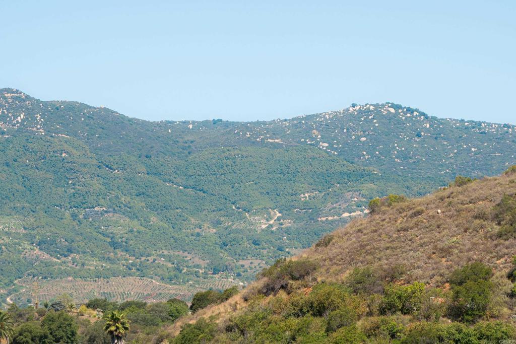 27 Daily Road Fallbrook, CA 92028 - Photo 31 of 34 a view of a dry yard with mountains in the background