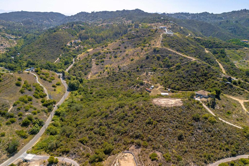 27 Daily Road Fallbrook, CA 92028 - Photo 8 of 34 a view of a forest with a tree