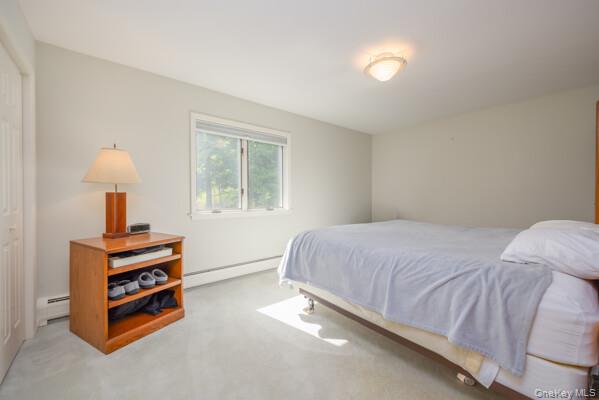 19 West Gate Road Suffern, NY 10901 - Photo 33 of 42 Spacious room featuring light-colored carpeting, a double window, and a flush mount ceiling light fixture