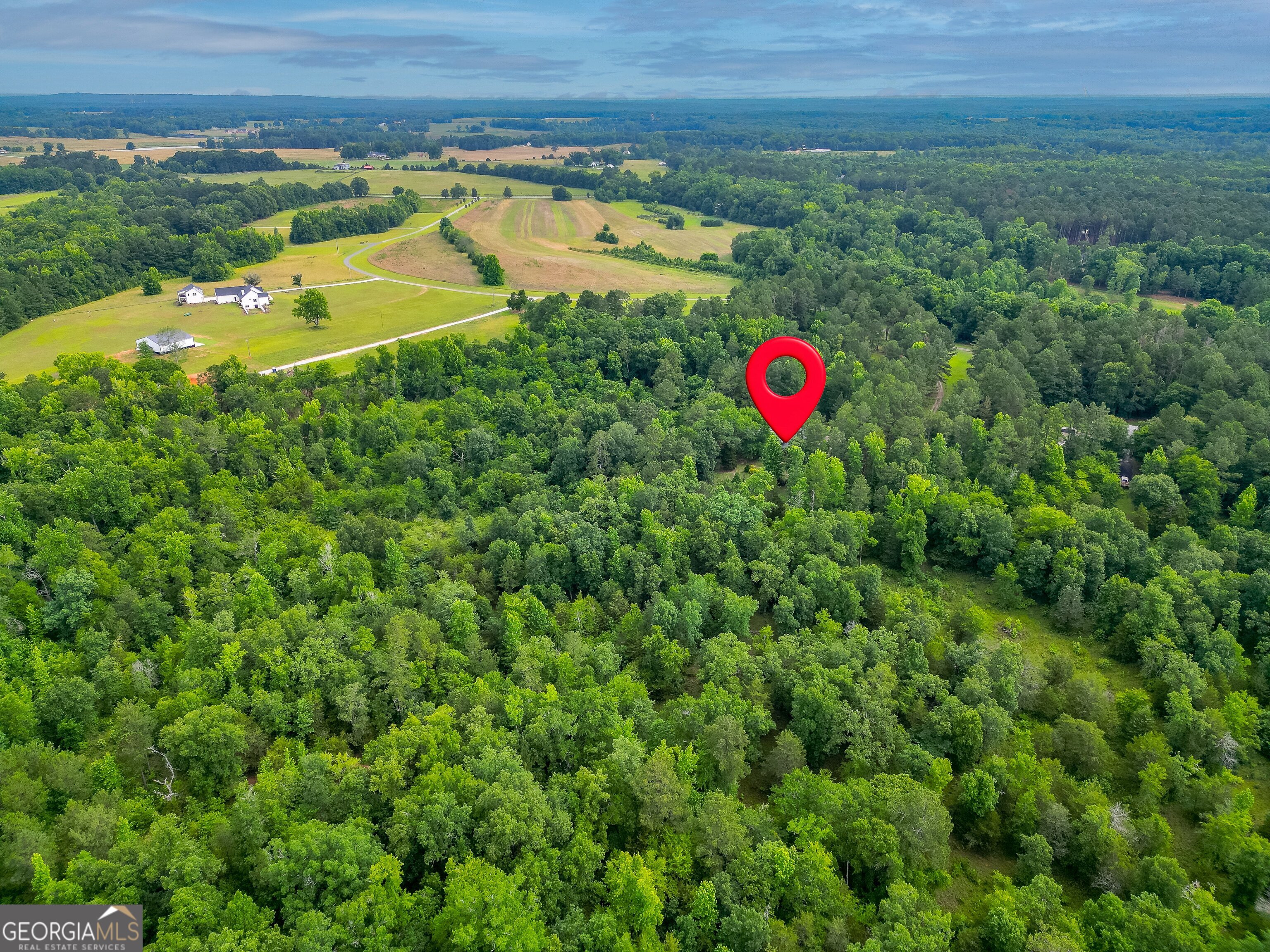207 Steeplechase Barnesville, GA 30204 - Photo 69 of 78