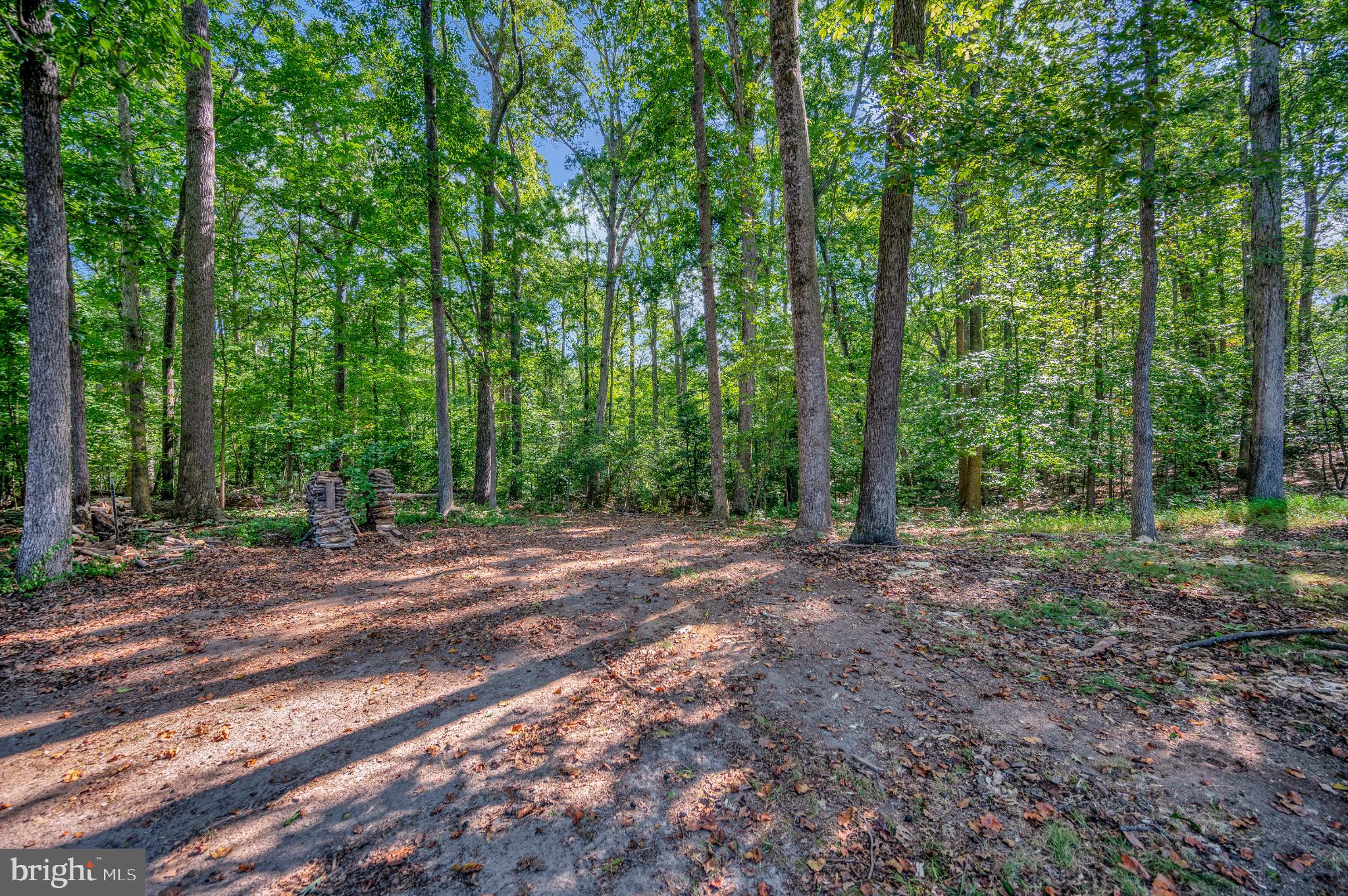 8625 Brock Road Spotsylvania, VA 22553 - Photo 32 of 47 Serene woodland retreat awaits your vision.