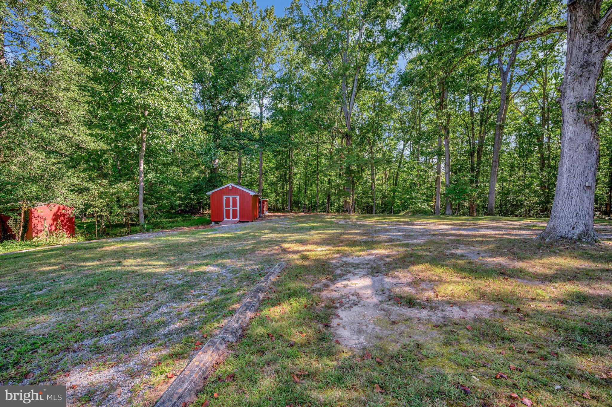 8625 Brock Road Spotsylvania, VA 22553 - Photo 33 of 47 Serene woodland retreat with vibrant shed.