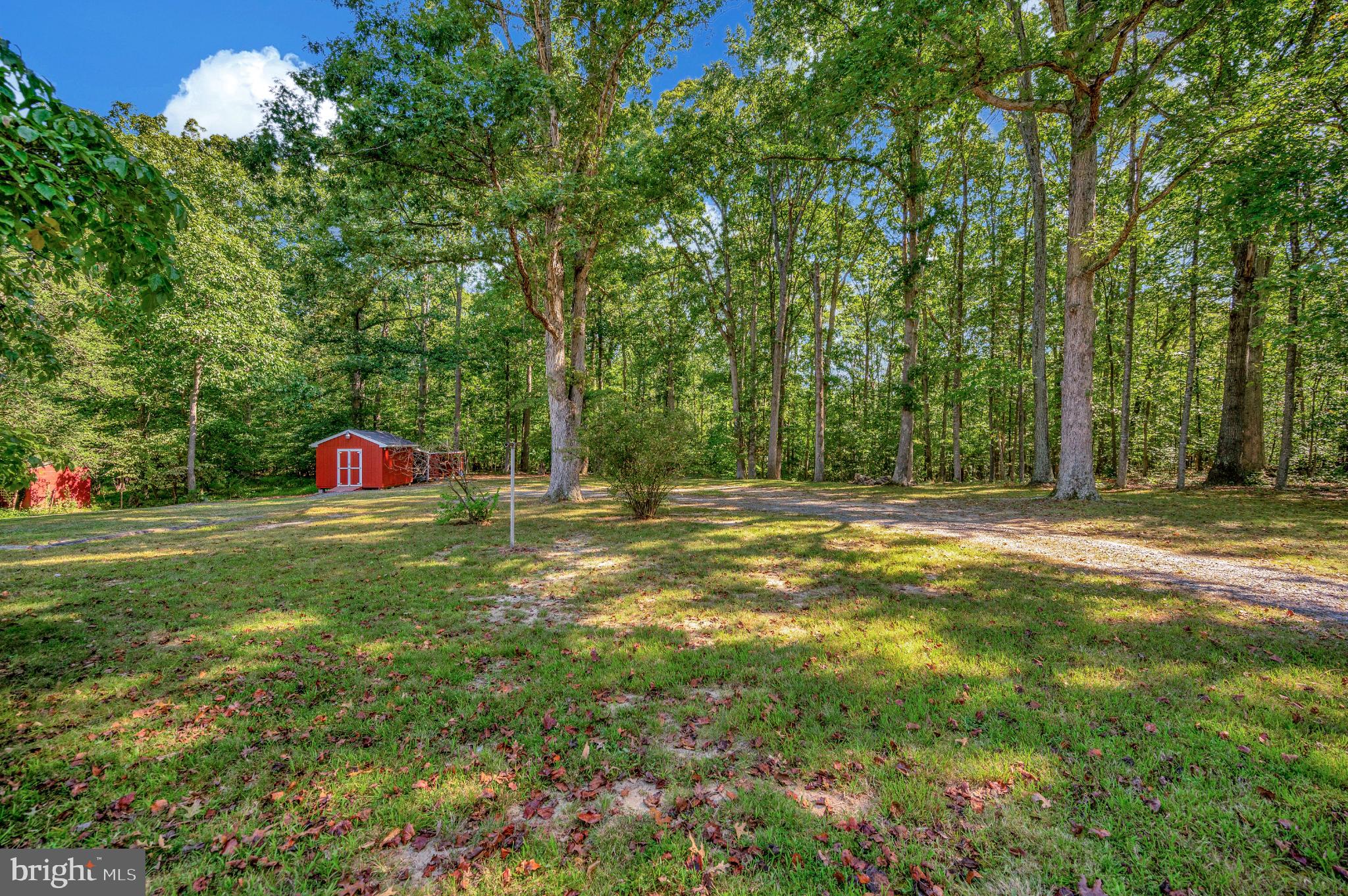 8625 Brock Road Spotsylvania, VA 22553 - Photo 35 of 47 Serene woodland retreat with vibrant shed.