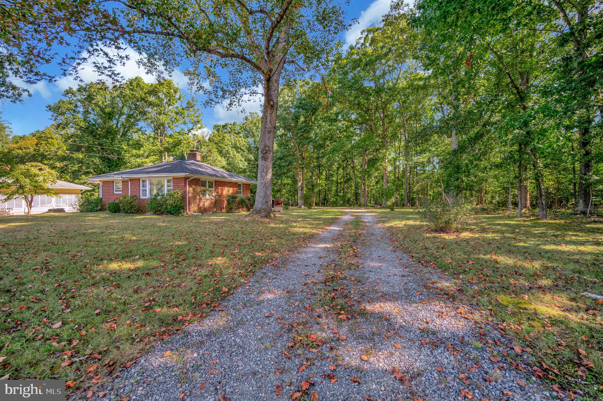 8625 Brock Road Spotsylvania, VA 22553 - Photo 42 of 47 Serene country retreat with lush surroundings.