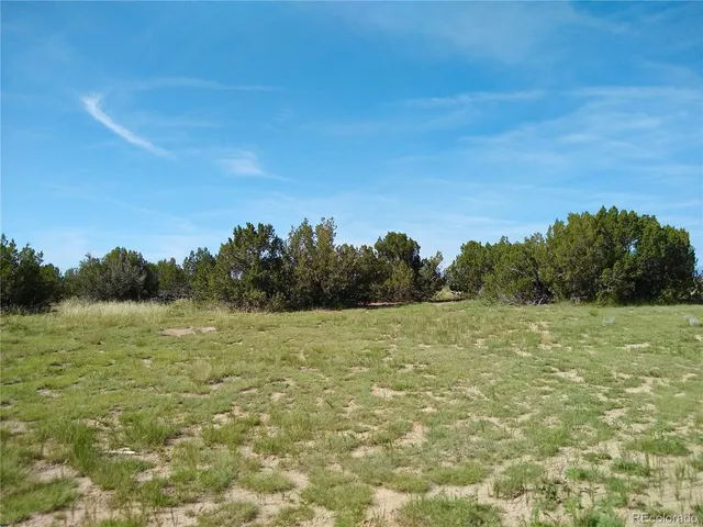 $72,000 | Carlson Road, Rye, CO 81069