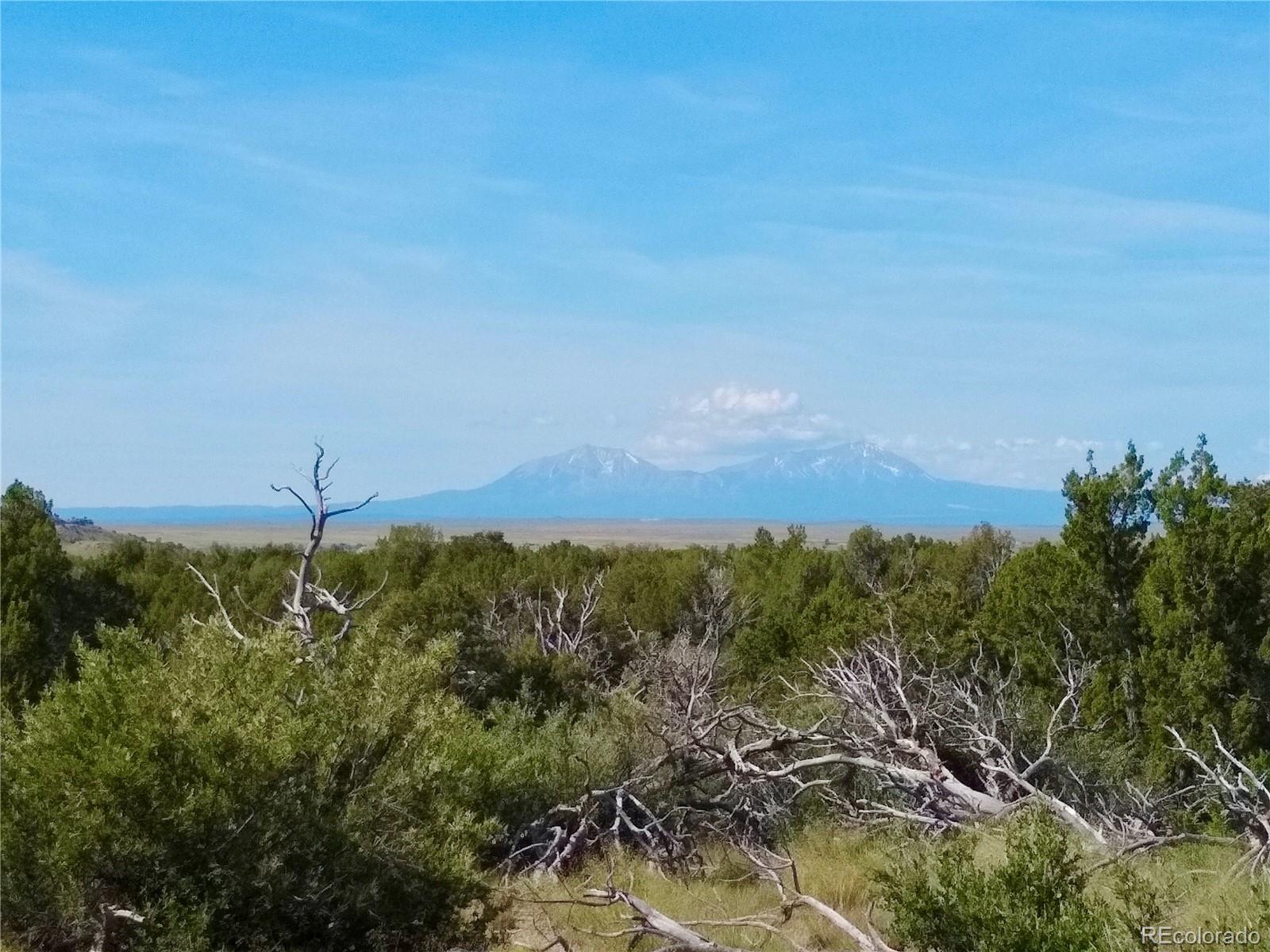 Carlson Road Rye, CO 81069 - Photo 14 of 35