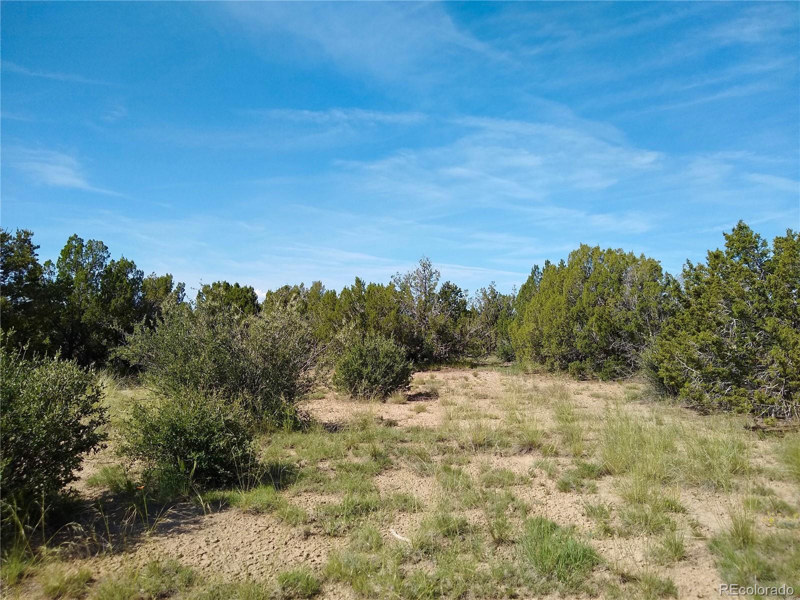 Carlson Road Rye, CO 81069 - Photo 15 of 35