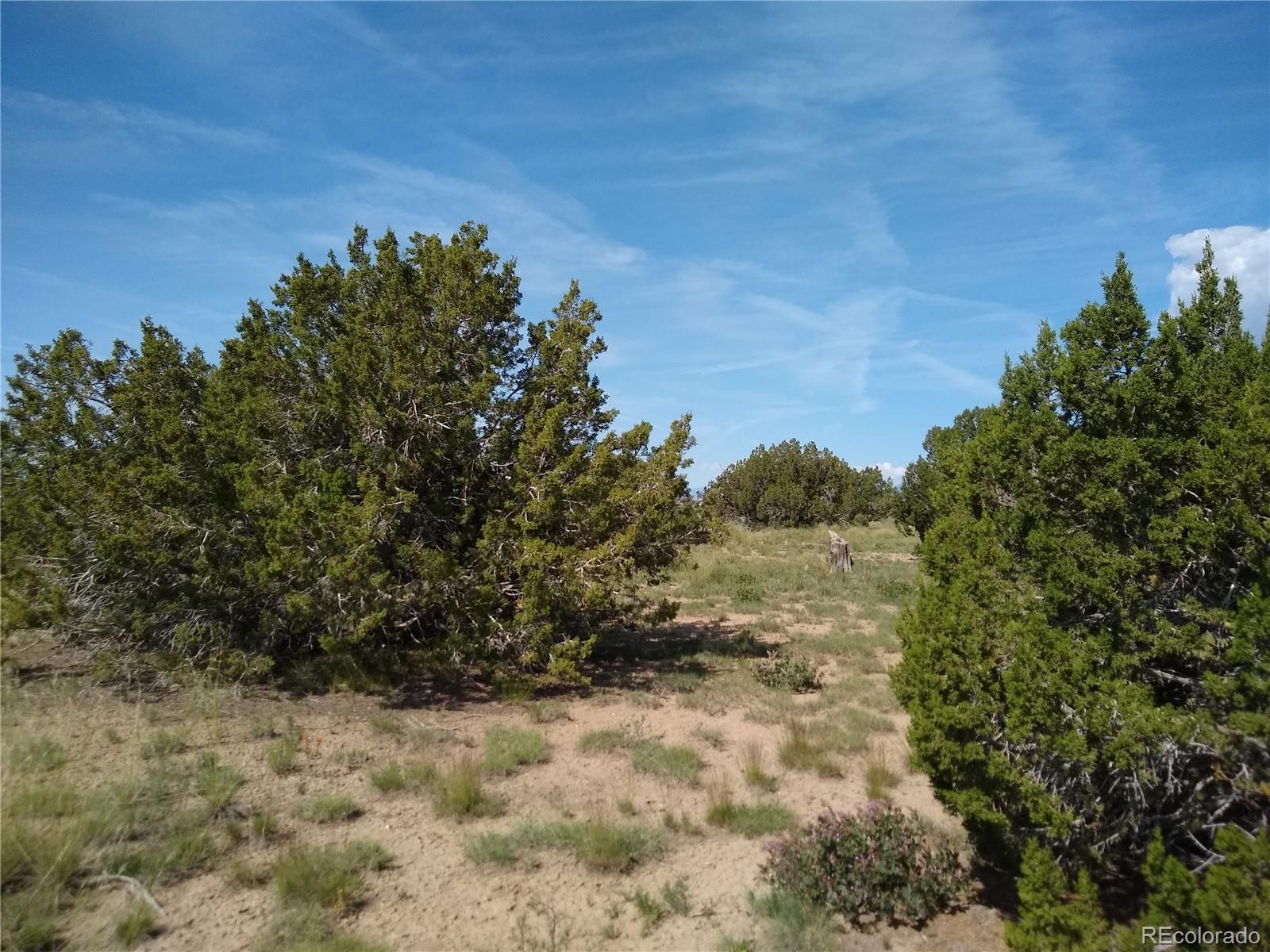 Carlson Road Rye, CO 81069 - Photo 16 of 35