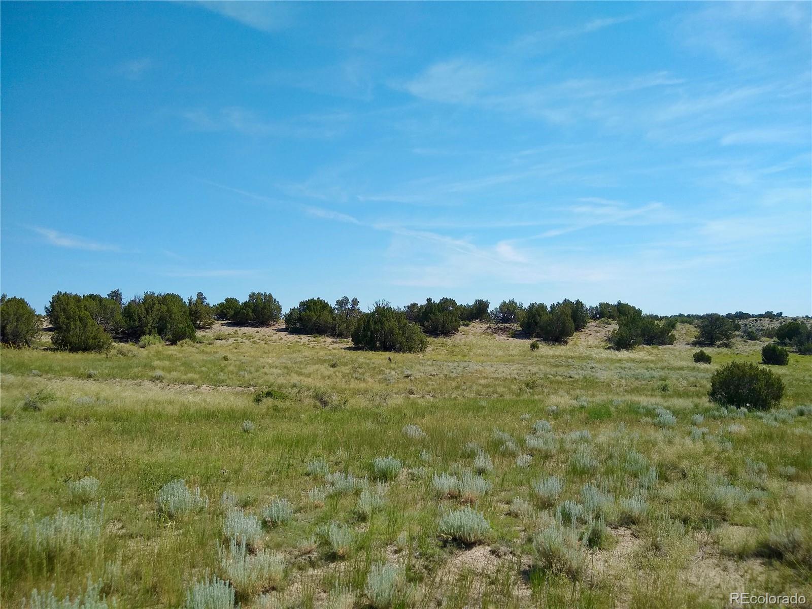 Carlson Road Rye, CO 81069 - Photo 19 of 35