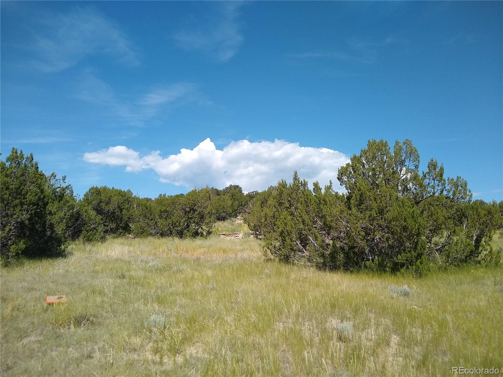 Carlson Road Rye, CO 81069 - Photo 2 of 35