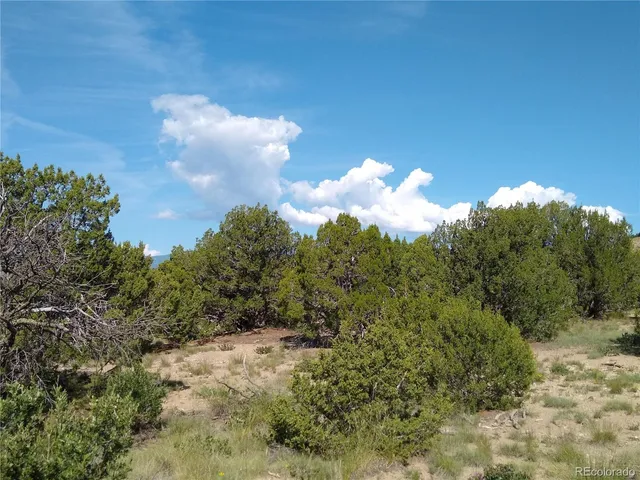 $72,000 | Carlson Road, Rye, CO 81069