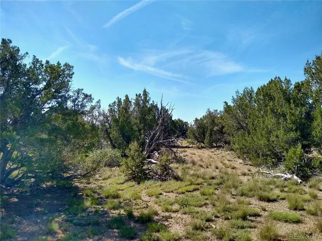$72,000 | Carlson Road, Rye, CO 81069