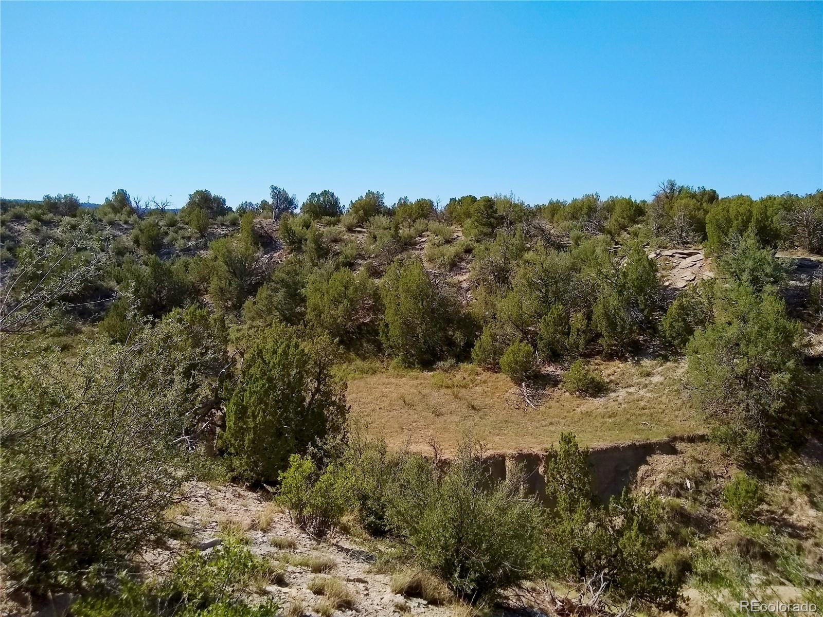 Carlson Road Rye, CO 81069 - Photo 23 of 35