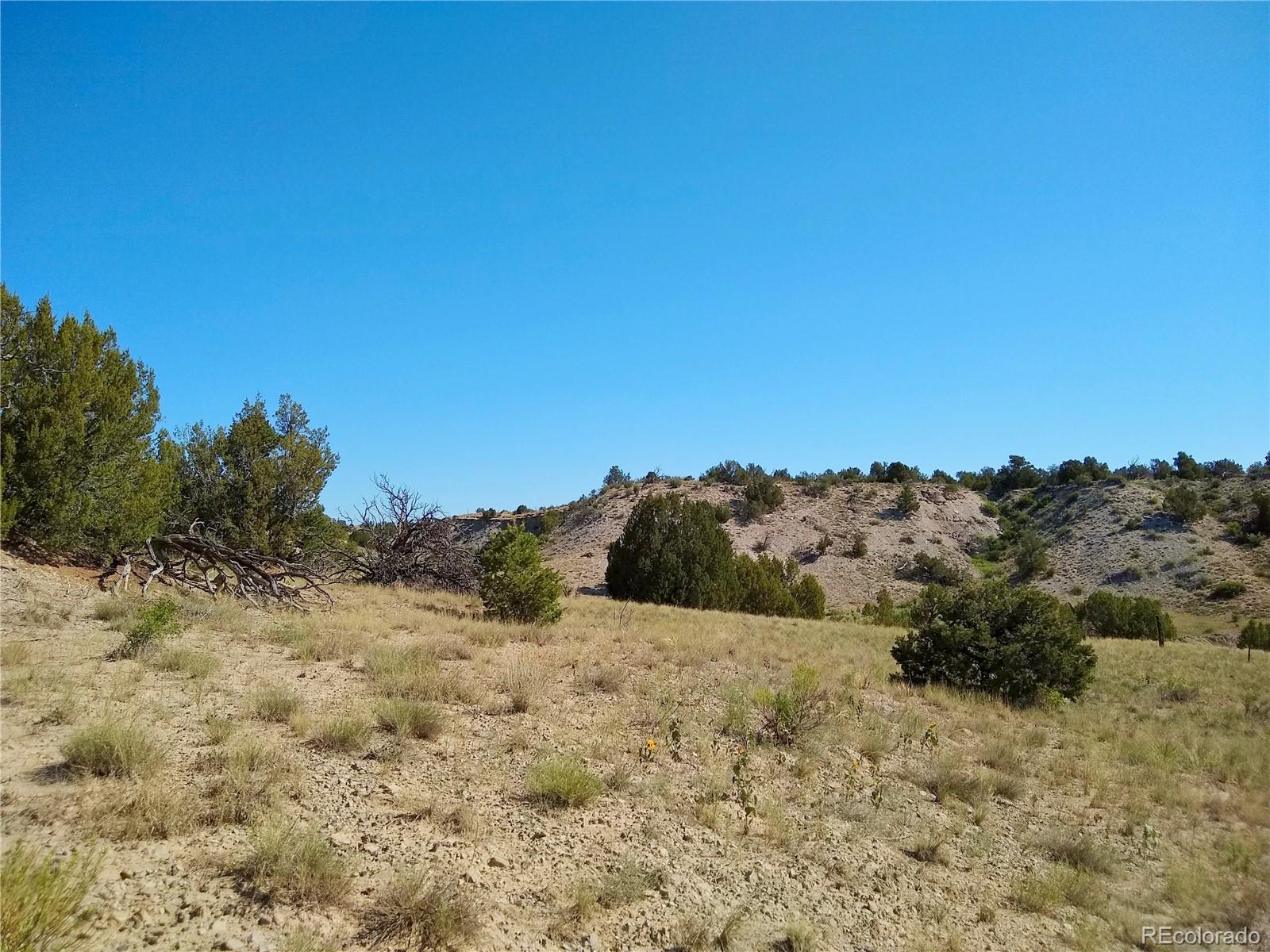 Carlson Road Rye, CO 81069 - Photo 25 of 35