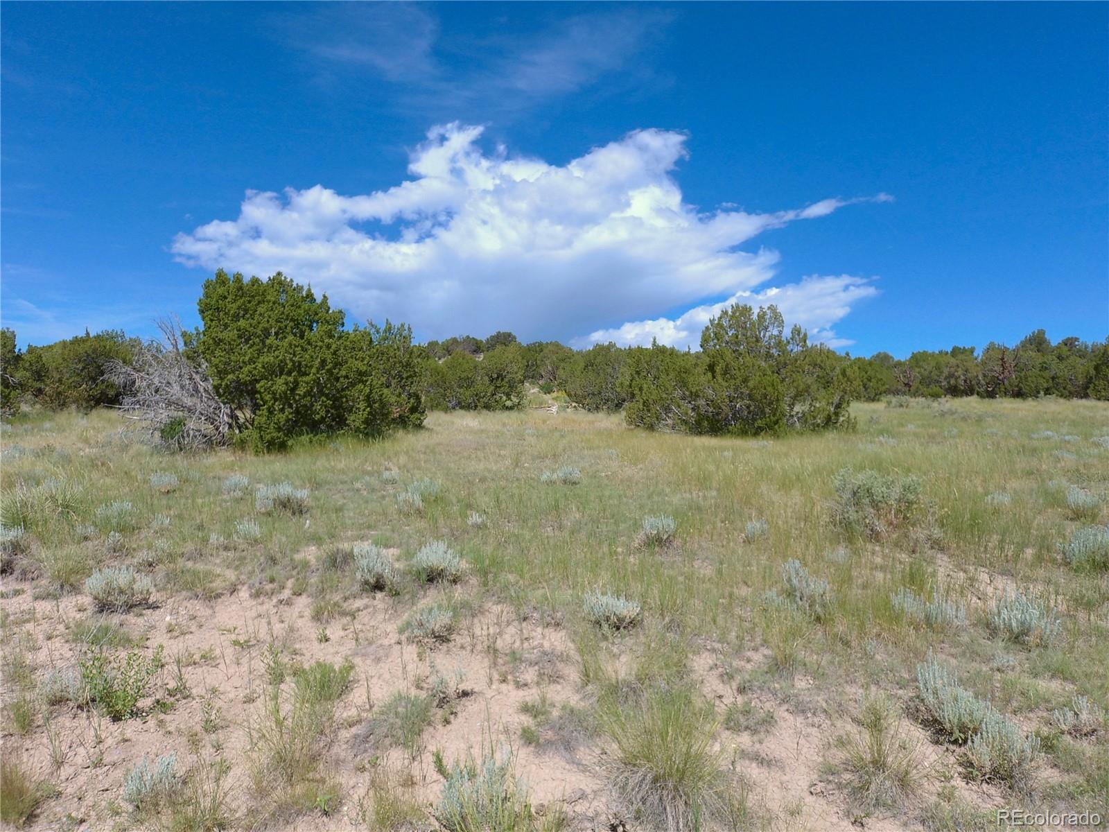 Carlson Road Rye, CO 81069 - Photo 29 of 35