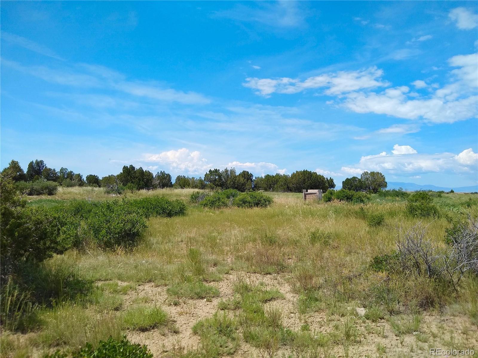 Carlson Road Rye, CO 81069 - Photo 3 of 35