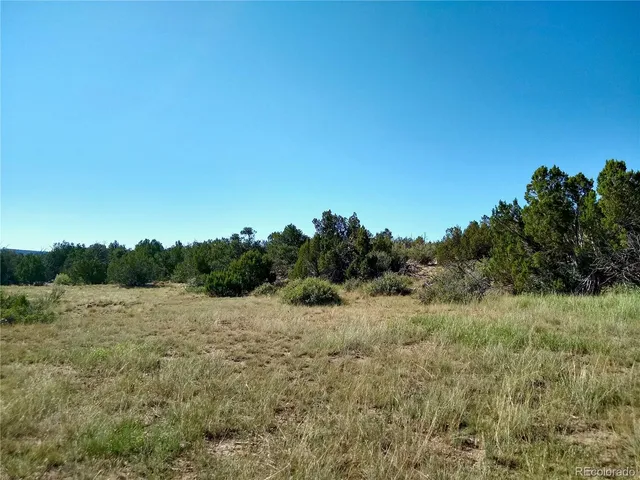 $72,000 | Carlson Road, Rye, CO 81069