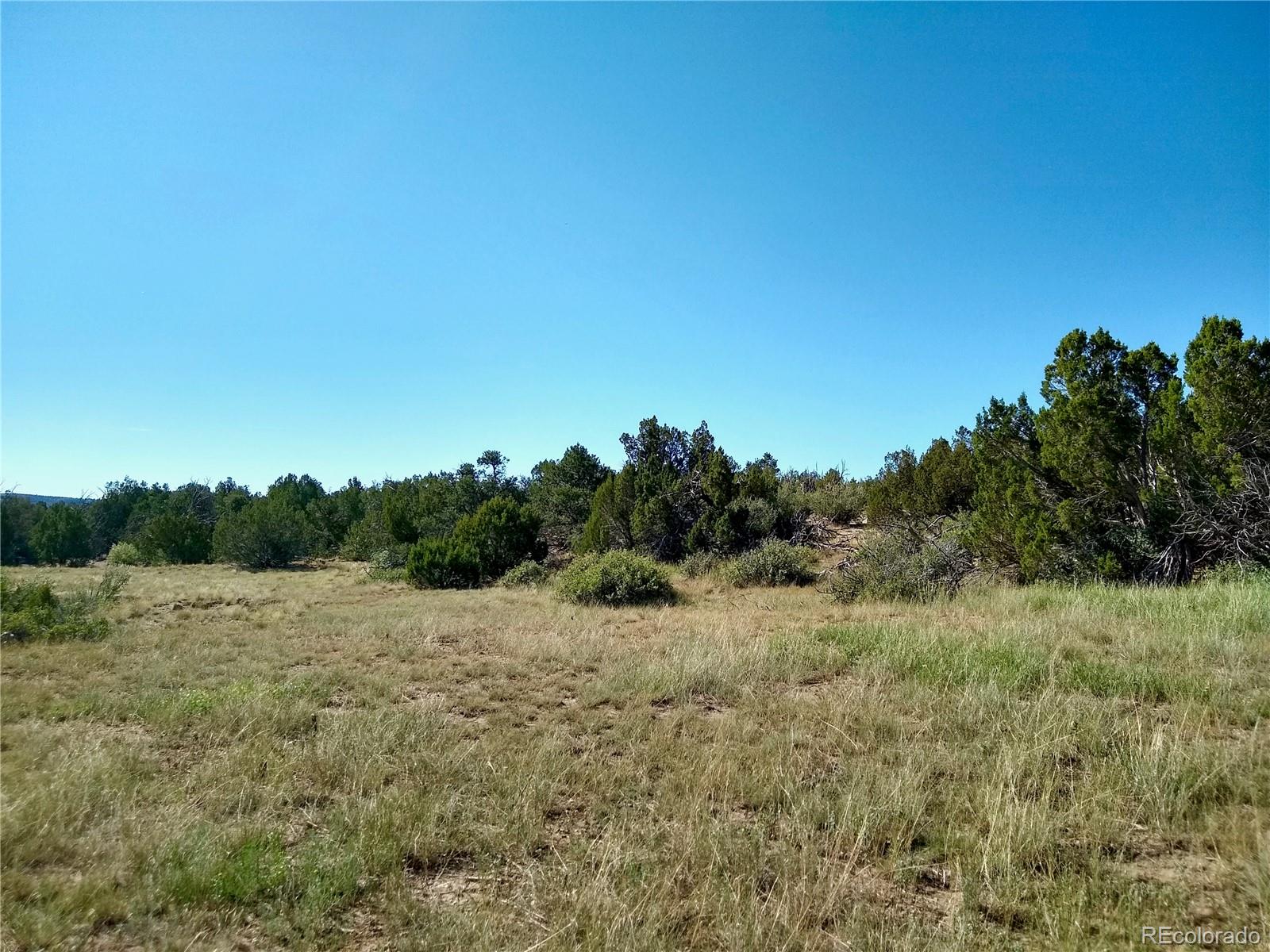 Carlson Road Rye, CO 81069 - Photo 31 of 35