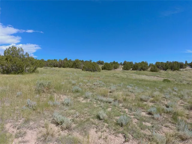 $72,000 | Carlson Road, Rye, CO 81069