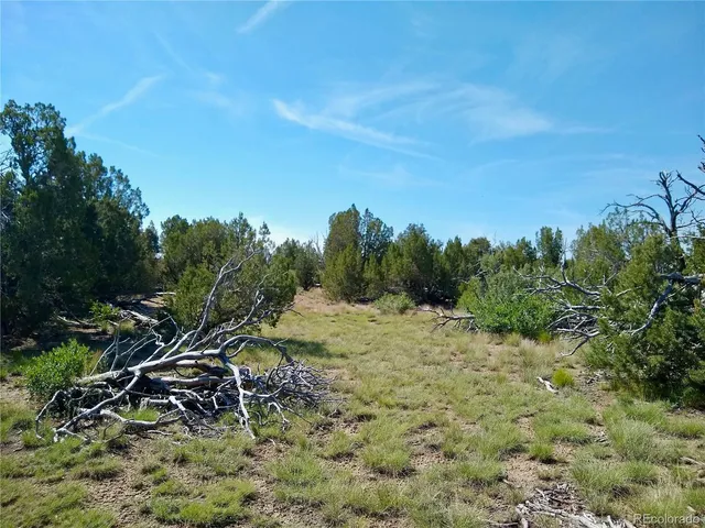 $72,000 | Carlson Road, Rye, CO 81069