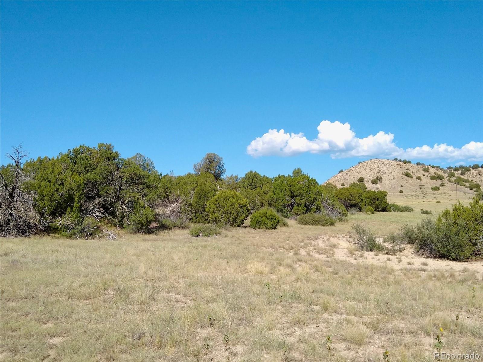 Carlson Road Rye, CO 81069 - Photo 8 of 35
