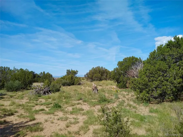 $72,000 | Carlson Road, Rye, CO 81069