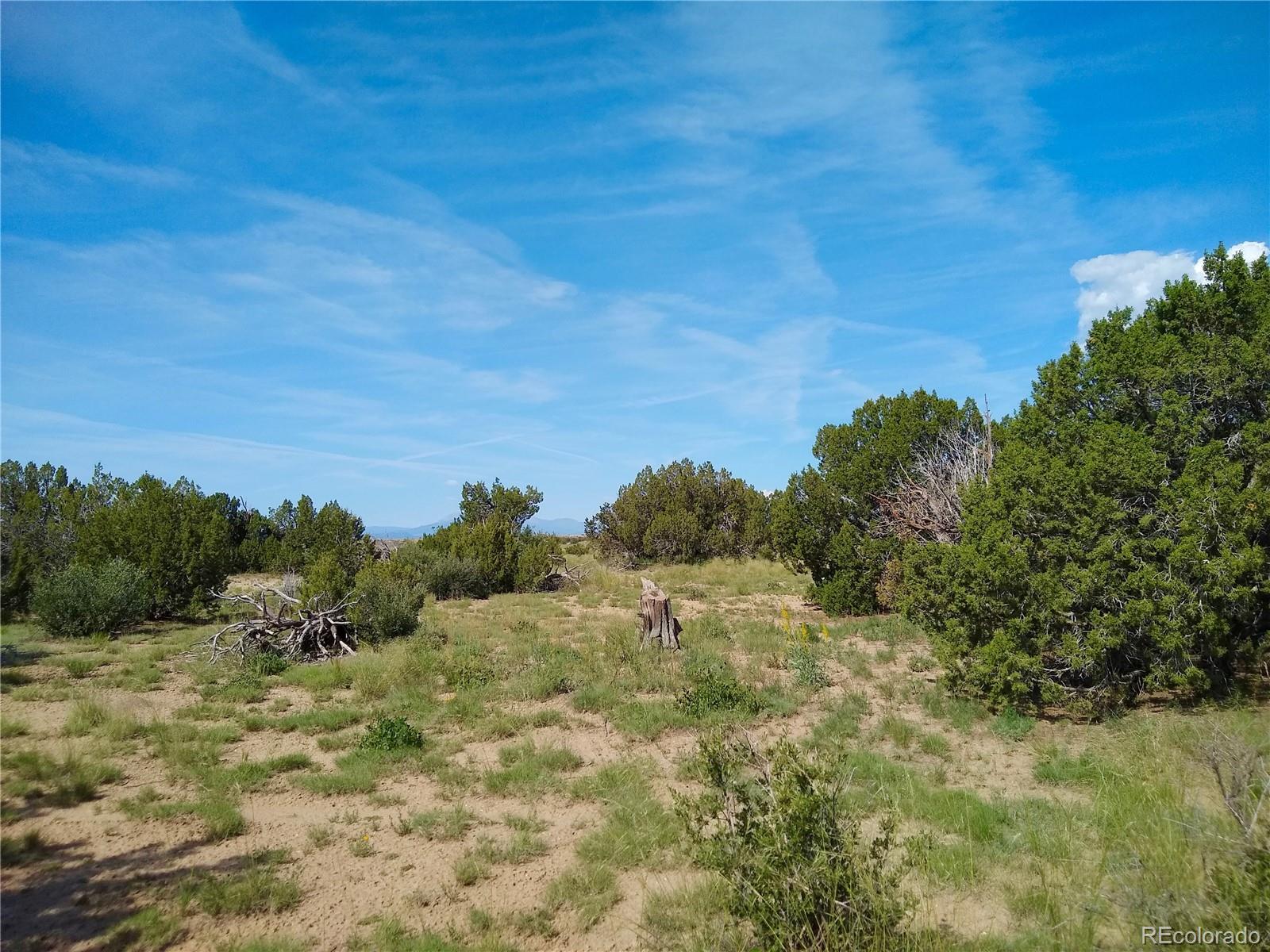 Carlson Road Rye, CO 81069 - Photo 9 of 35