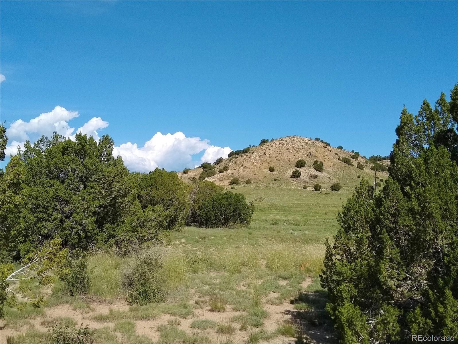 Carlson Road Rye, CO 81069 - Photo 10 of 35