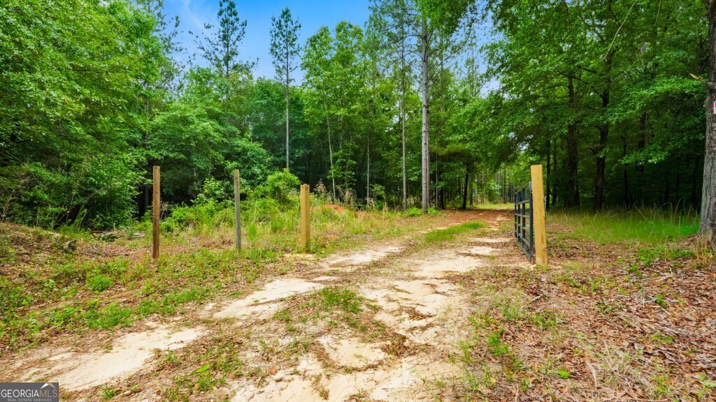 0 River Road Waynesboro, GA 30830 - Photo 31 of 37
