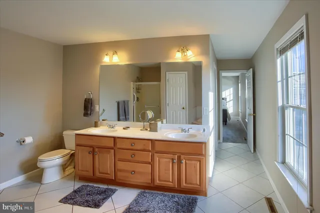 a bathroom with a double vanity sink a toilet a mirror and shower