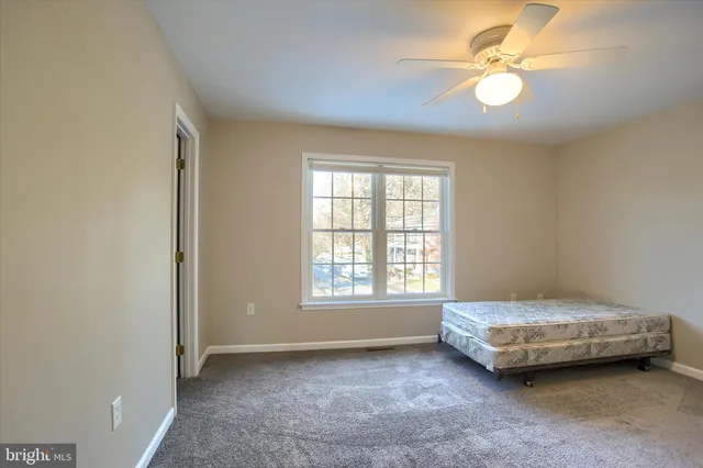 a living room with a bed furniture and a window