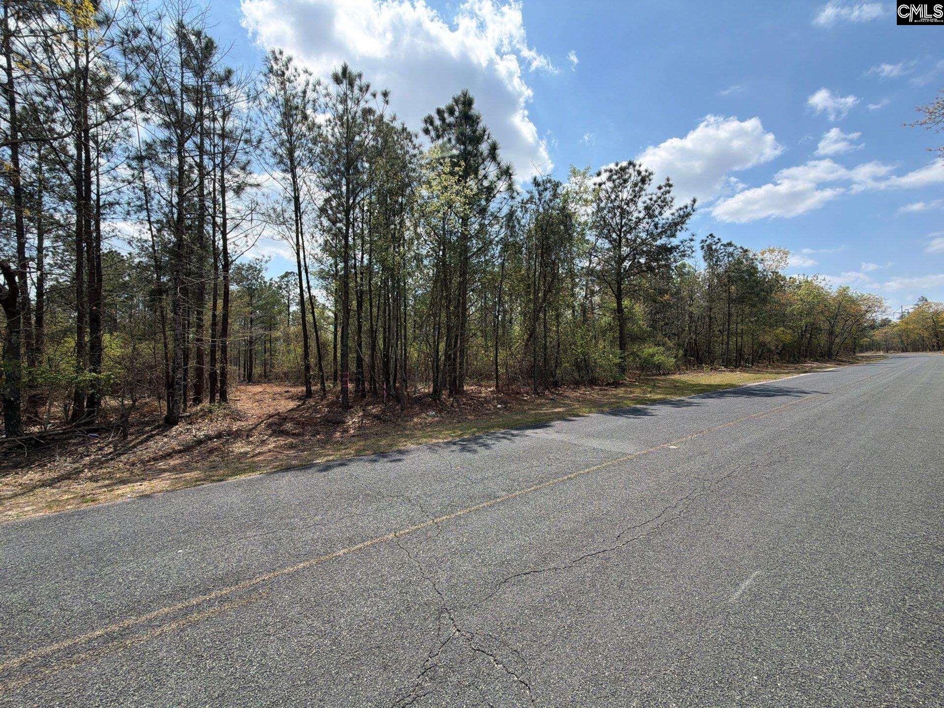 3 Mt Calvary Rd Ridge Spring Ridge Spring, SC 29129 - Photo 2 of 27