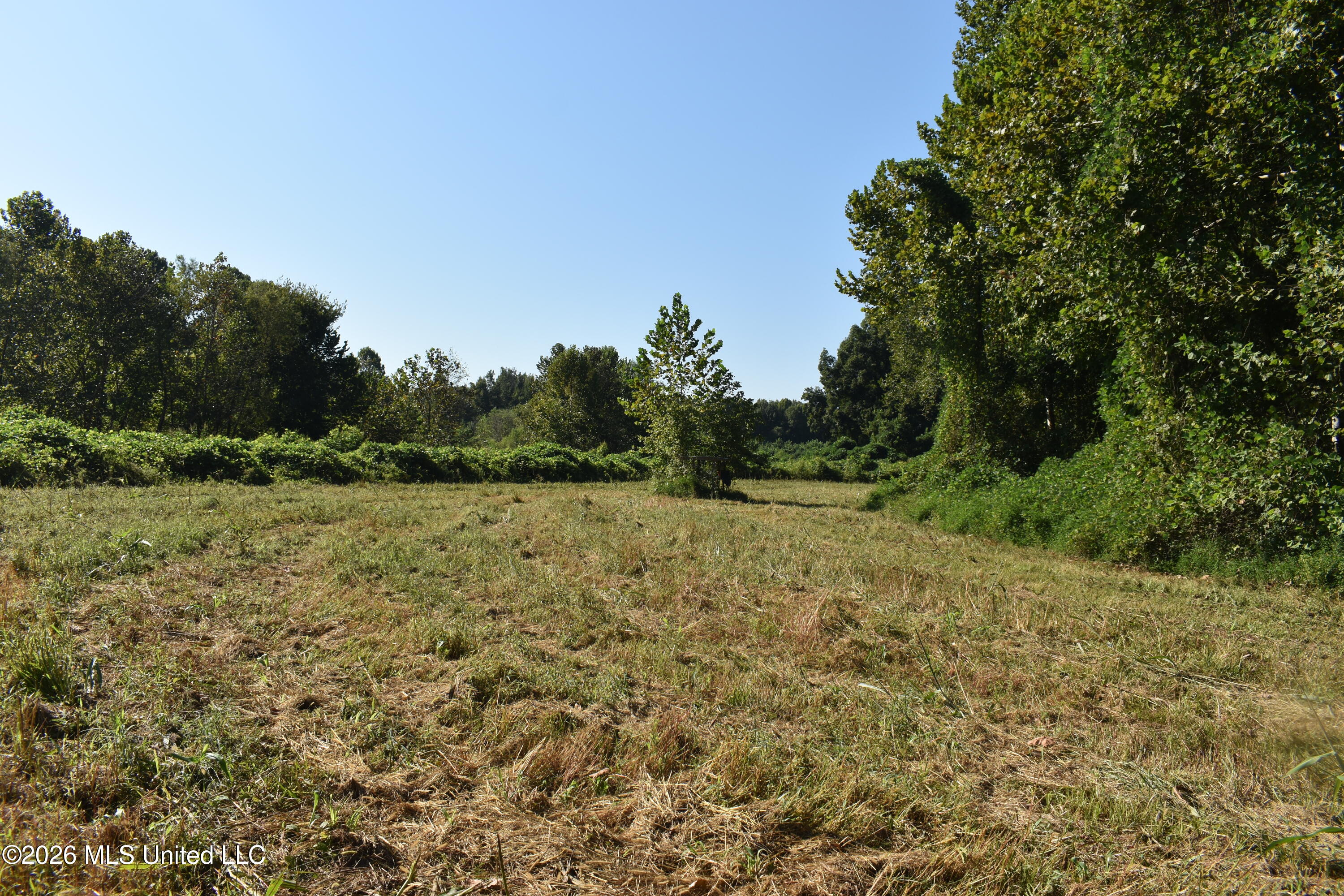 390 Old Panola Road Como, MS 38619 - Photo 37 of 71 DSC_0168