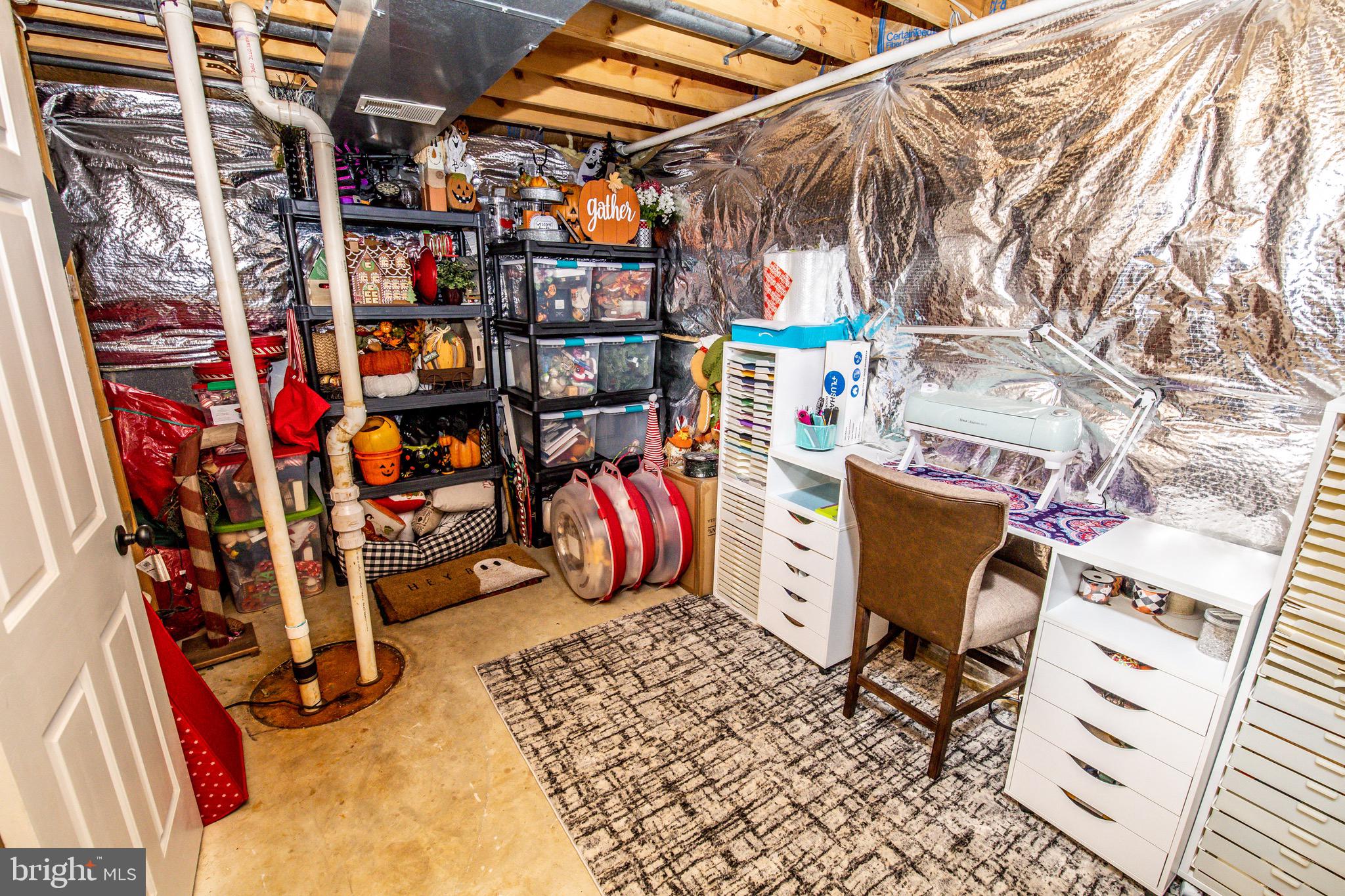 525 Post Oak Road Annapolis, MD 21401 - Photo 76 of 92 Lower level storage room