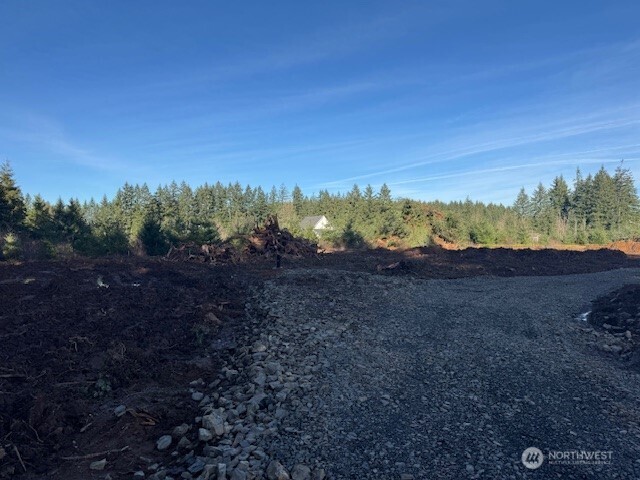 380 Hawkins Road Winlock, WA 98596 - Photo 2 of 7 a view of a yard and a mountain