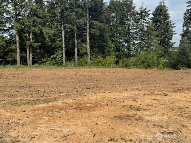 380 Hawkins Road Winlock, WA 98596 - Photo 4 of 8