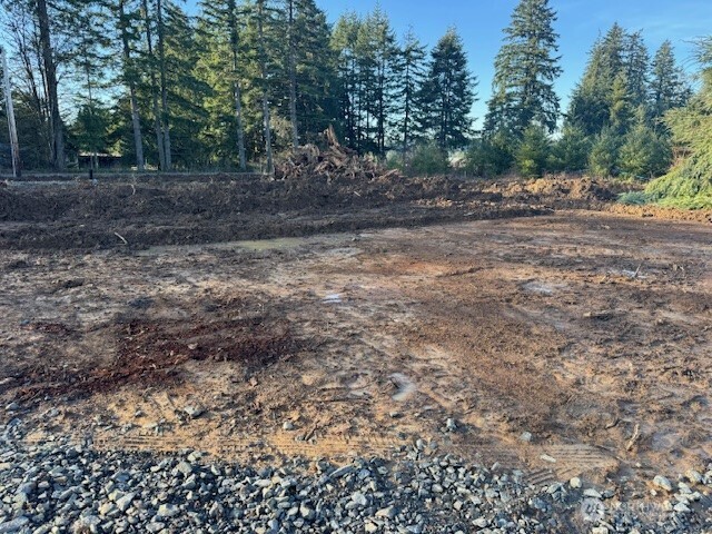 380 Hawkins Road Winlock, WA 98596 - Photo 4 of 7 a view of a yard with a tree
