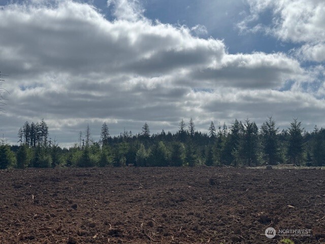 380 Hawkins Road Winlock, WA 98596 - Photo 5 of 8