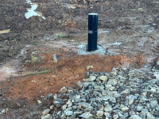 380 Hawkins Road Winlock, WA 98596 - Photo 7 of 7 a close up of a tree in a yard