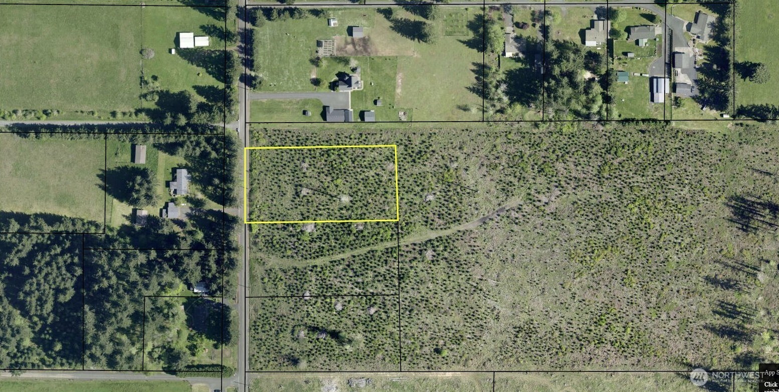 380 Hawkins Road Winlock, WA 98596 - Photo 8 of 8