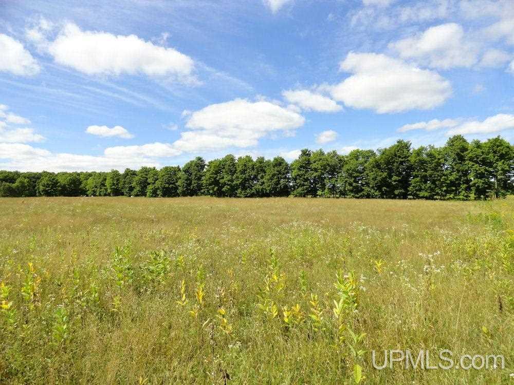 N5058 Benson Road Chatham, MI 49816 - Photo 15 of 31