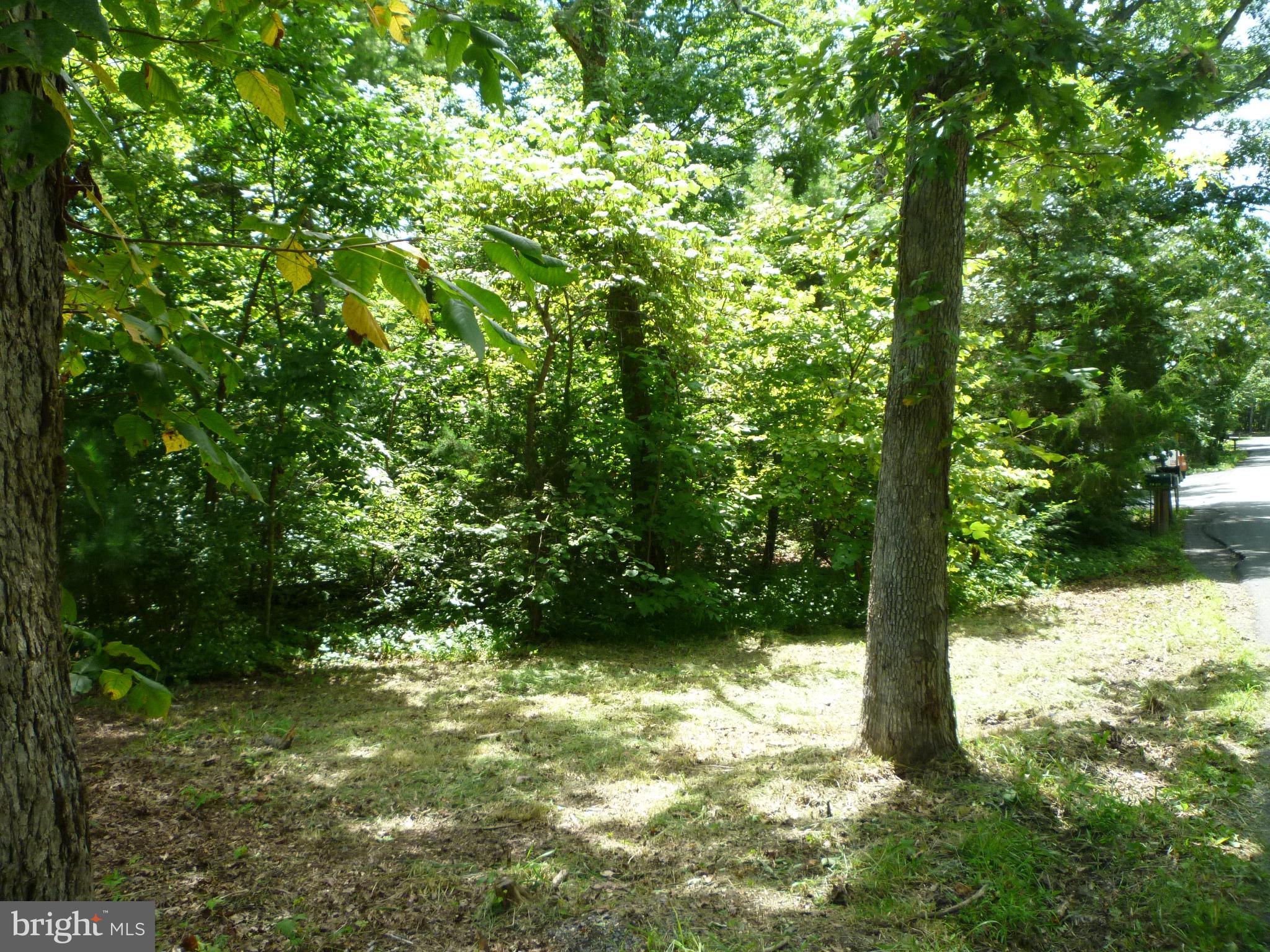 Lot 8-sect Supinlick Ridge Mount Mount Jackson, VA 22842 - Photo 1 of 3
