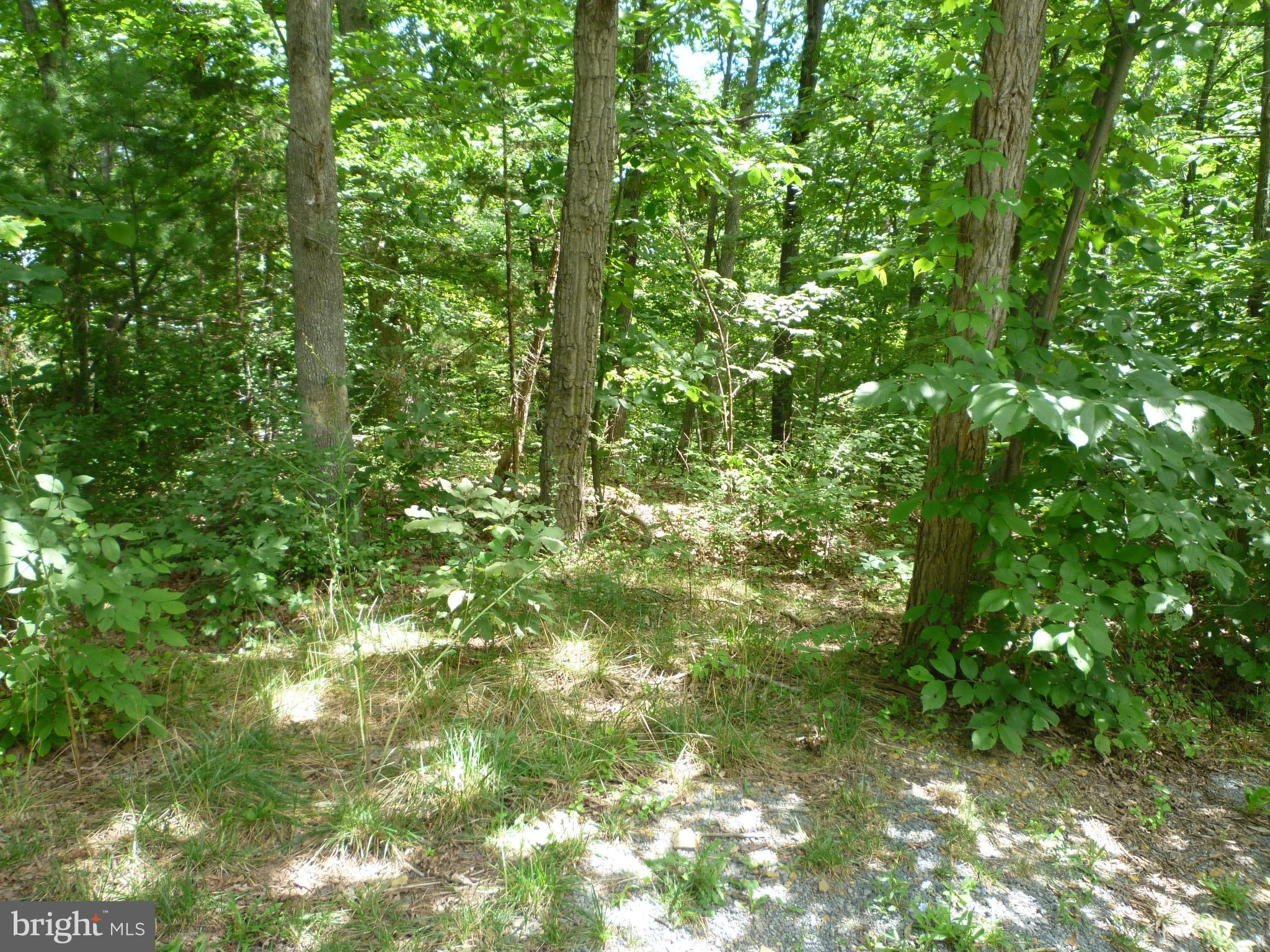 Lot 8-sect Supinlick Ridge Mount Mount Jackson, VA 22842 - Photo 2 of 3
