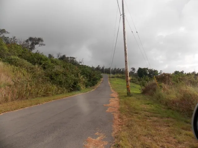 a view of a dry yard with wooden floor