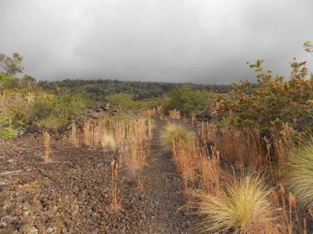 a close view of water heater of a house