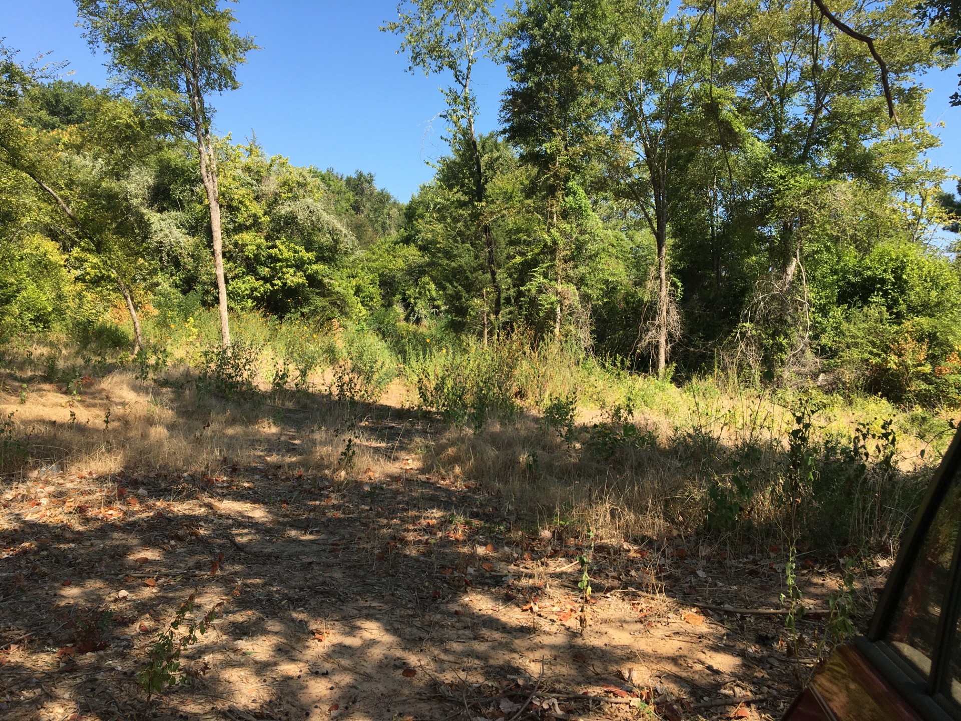 0 State Highway Elkhart, TX 75839 - Photo 4 of 8 a view of a tree
