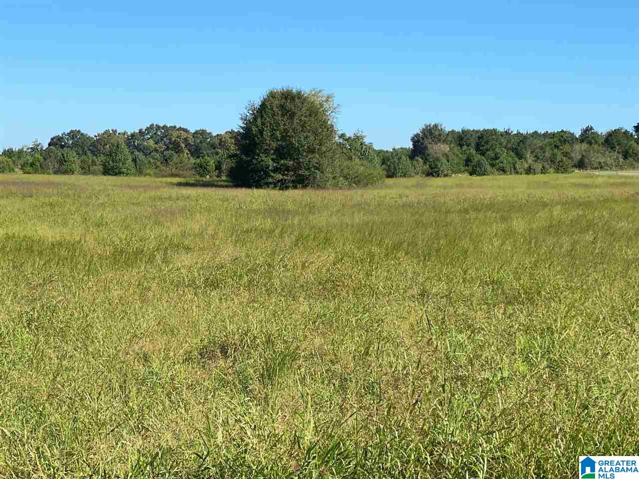 591 Brickstore Road Eastaboga, AL 36260 - Photo 1 of 7