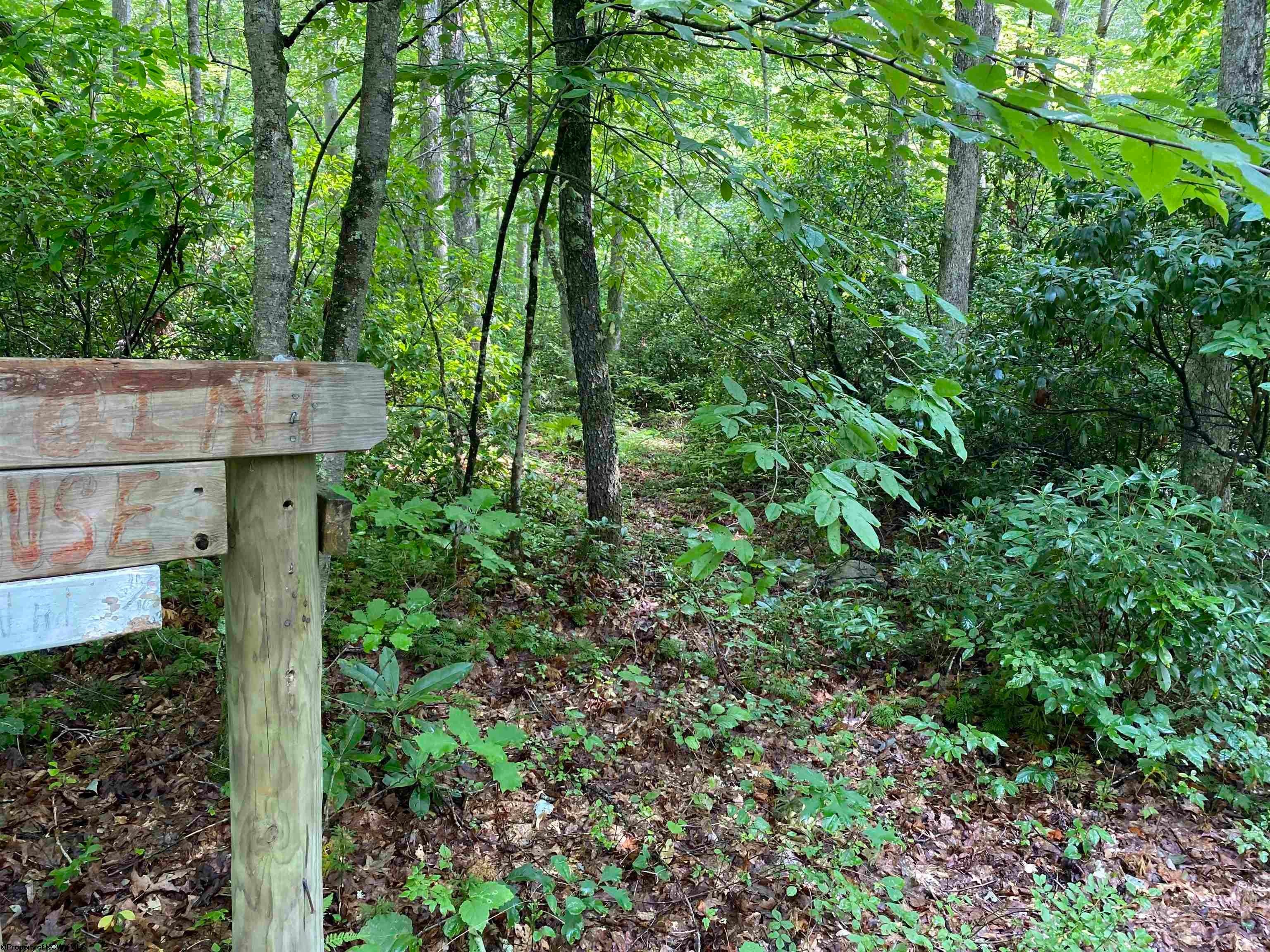 3658 Hanging Run Road Belington, WV 26250 - Photo 30 of 35 Gallery Image 30