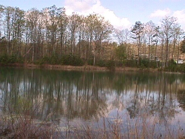 16 Raven Cliff Road Graysville, TN 37327 - Photo 1 of 1 Primary Photo