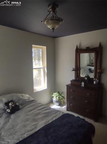 423 Ridge Road Divide, CO 80814 - Photo 28 of 48 View of bedroom